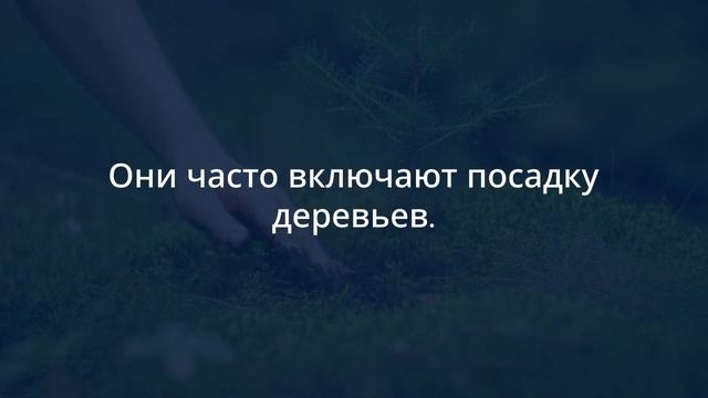 Untitled_video (1) смотреть онлайн