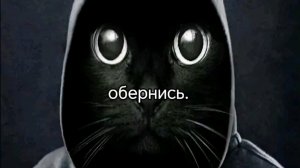 Как мы играем в игру Кошачьи царапины 🖤