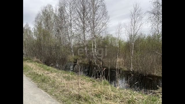 7724946 смотреть онлайн