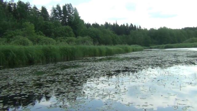 РЫБА 1 смотреть онлайн