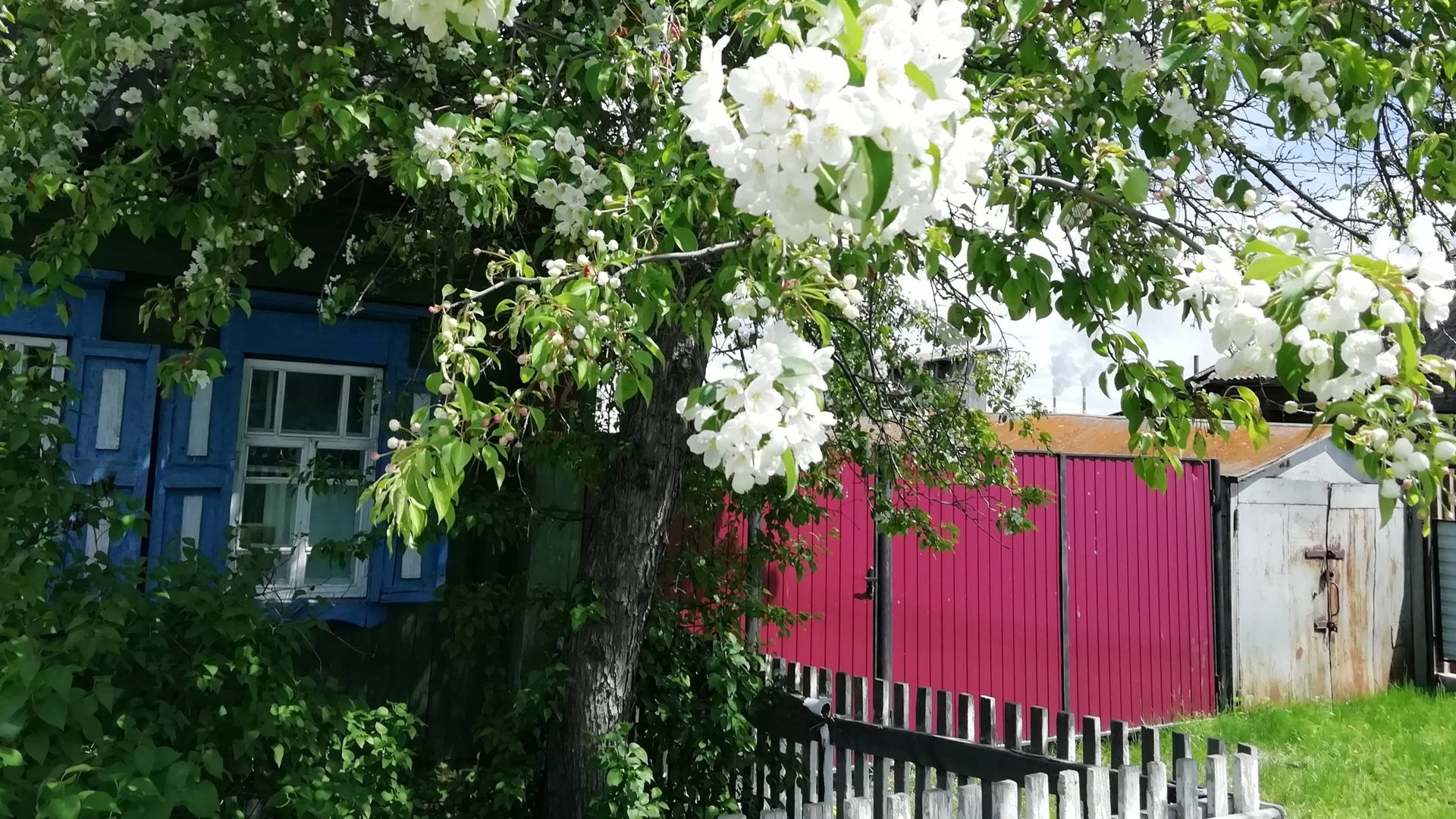 ДОРОХОВО, НАЗАРОВСКИЙ РАЙОН / 2013