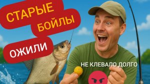 Секрет оживления бойлов — теперь рыба на них сходит с ума!