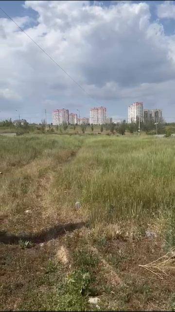 2387718 смотреть онлайн
