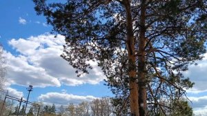 ПО НЕБУ БОСИКОМ!