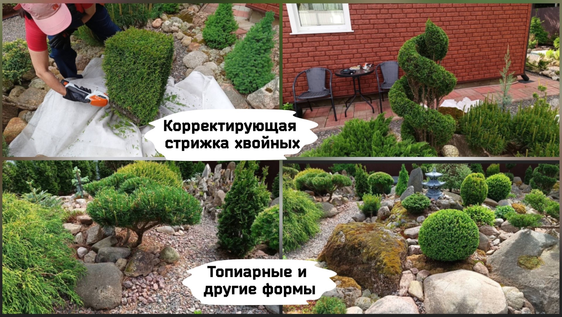 Корректирующая стрижка хвойных. Топиарные и другие формы. смотреть онлайн