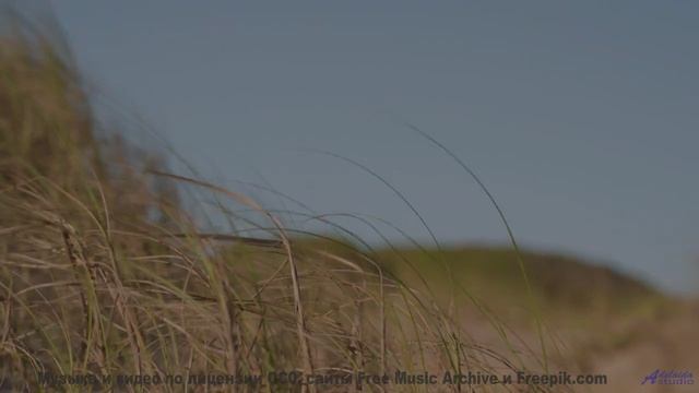 Бегите под этот звук! - Grumpy Cat Instrumental -- Holizna4KidsMusic -- Grumpy Cat