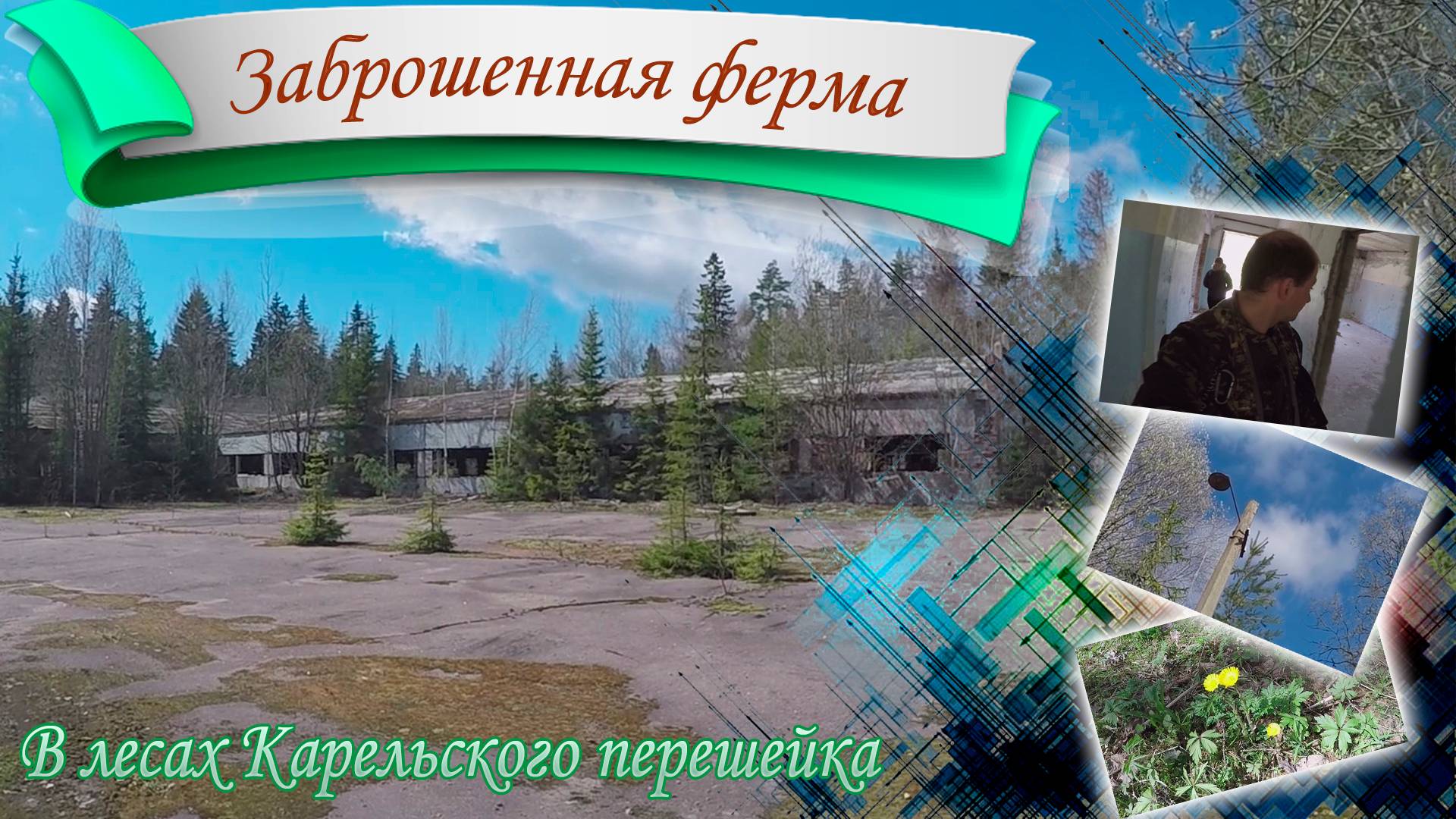 Заброшенная свиноферма в лесах Ленинградской области. Карельский перешеек (Перезалив с YT, 2022 г)