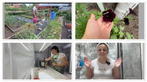 мой УХОД__испекла НЕГРА__заставила ДИМУ работать))