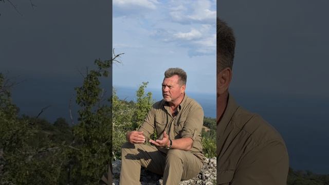 Снимаем, просвещаем, обучаемся! смотреть онлайн