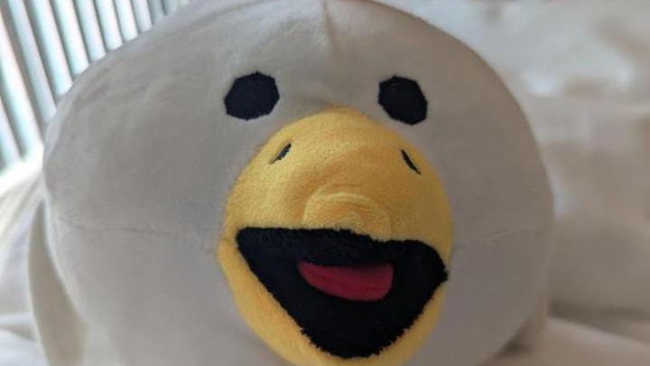 вступайте смотреть онлайн