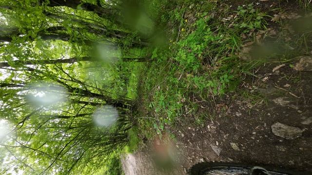 03 05 2025 (18) смотреть онлайн
