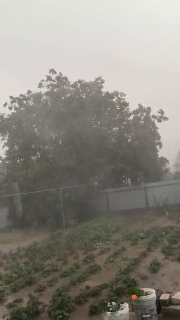 ДОЖДЬ,ГРАД...НАША ПОГОДА 19 ИЮНЯ/ВОЛГОГРАДСКАЯ ОБЛАСТЬ смотреть онлайн