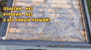 плаксий нет куракин нет а кто лучший