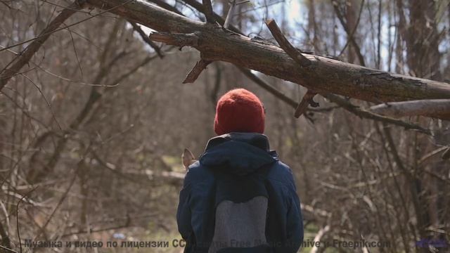 Этот клип заставит забыть обо всём на свете - TE DESPERTAI VIENDO EL TCM -- Compadre Locura -- A CUC смотреть онлайн