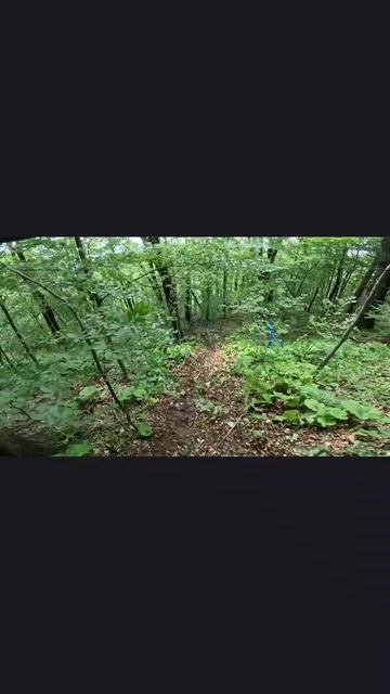 Грязный и скользкий спуск на гонке "Золотая Гора" 2025#sukkoenduro #enduro #эндуро #суккоэндуро смотреть онлайн