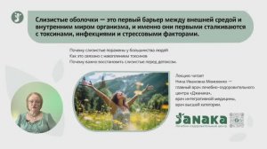 Лекция. Слизистые оболочки ЖКТ 2025