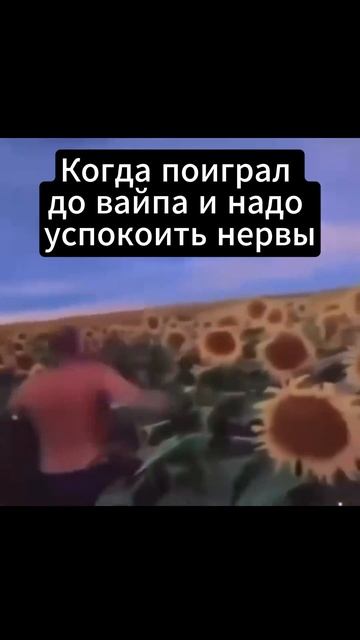 Rust поиграл до вайпа #shorts #rust #раст смотреть онлайн