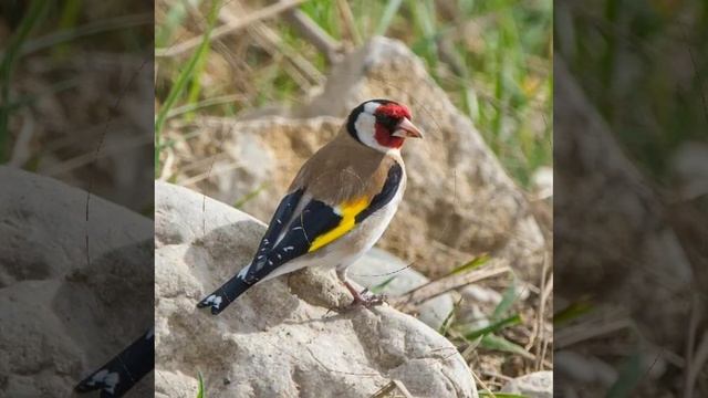 Это интересно-7 смотреть онлайн