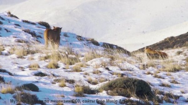 Музыка качает сильнее любого шторма на море - A Play on Words -- Les Hayden -- Home