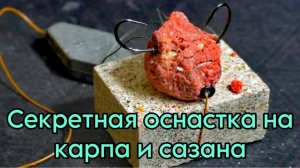 Как поймать САЗАНА и КАРПА на СЕКРЕТНУЮ ОСНАСТКУ #рыбалка #карп #карась #сазан #флэтфидер #жмыховка