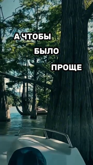 Новостройки без границ