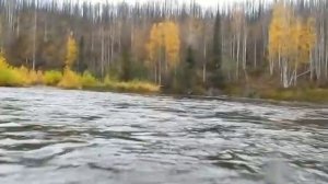 Водомёт Крась + Меркури 15 осень 2012 р.Вижай