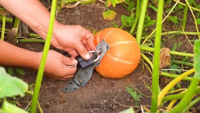 NEW GARDENING IDEAS YOU'LL LOVE! EASY & CREATIVE HACKS смотреть онлайн