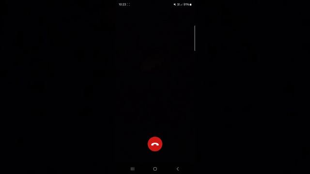 видео звонок сербской леди