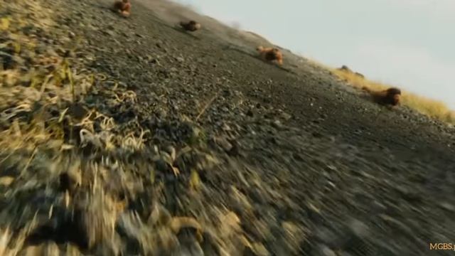 Вождь войны (2025) . Боевик , драма , история . США . Трейлер сериала смотреть онлайн