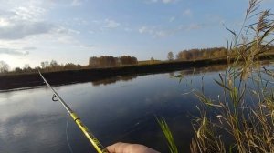 РЫБАЛКА НА ПОВЕРХНОСТНЫЕ ПРИМАНКИ, ПОППЕР, ХОРВАТСКОЕ ЯЙЦО, ЛОВЛЯ ЩУКИ.