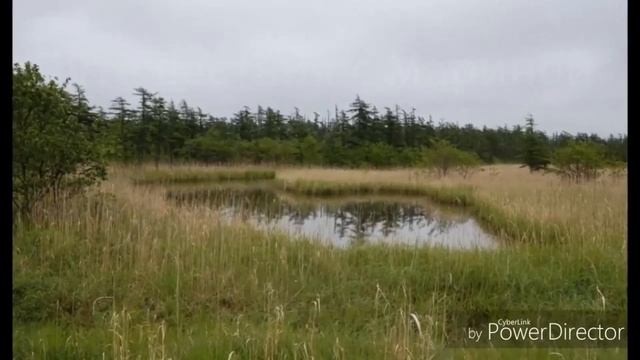 Вулкан Пугачева / остров Сахалин / июнь месяц