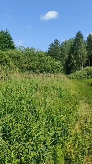 (28) Библия Евангелие от Иоанна глава 7 стих 20-30 смотреть онлайн