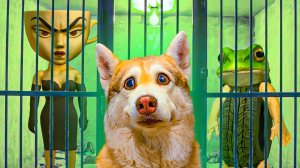 ТЮРЬМА для ЭСПРЕССОНА СИНЬОРА и БОНЕКА АМБАЛАБУ!! Видос от Бублика