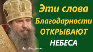 Начните благодарить Господа и увидите перемены в жизни. Арх. Мелхиседек