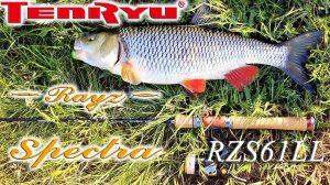 Обзор Tenryu Rayz Spectra RZS61LL на весенних рыбалках. 61-ая Спектра, малая река и голавли.