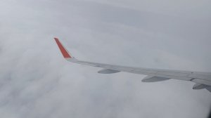 Посадка в Шереметьево Москва | Самолет Airbus A320 рейс Сталинград - Москва садится в Шарике