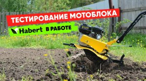 Тестирование мотоблока Habert в работе