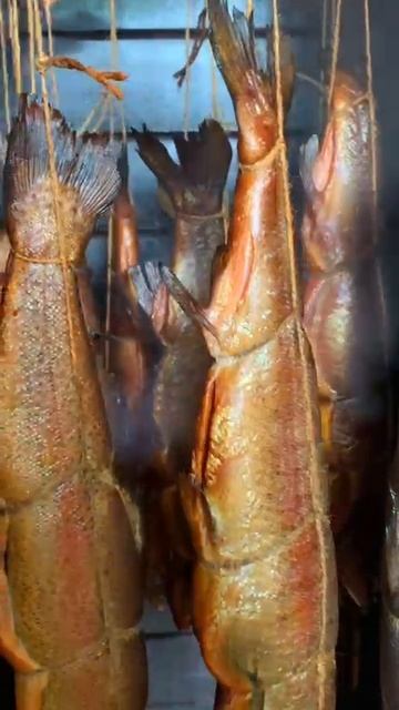 Радужная форель горячего копчения