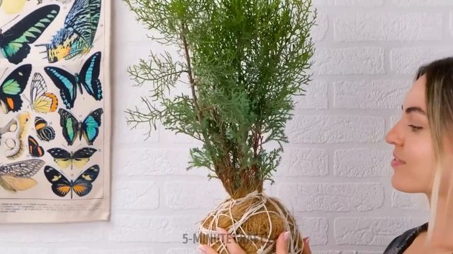 15 GARDENING HACKS YOU'LL WISH YOU KNEW SOONER! смотреть онлайн