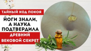Зачем йоги смазывают пупок различными маслами? Секреты древней практики