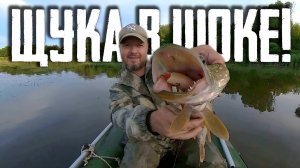 💀 БЮДЖЕТНЫЙ ВОБЛЕР и САМОДЕЛКА УНИЧТОЖАЮТ бренды! Ловля ЩУКИ в жабовнике! 🔥🤯🔥