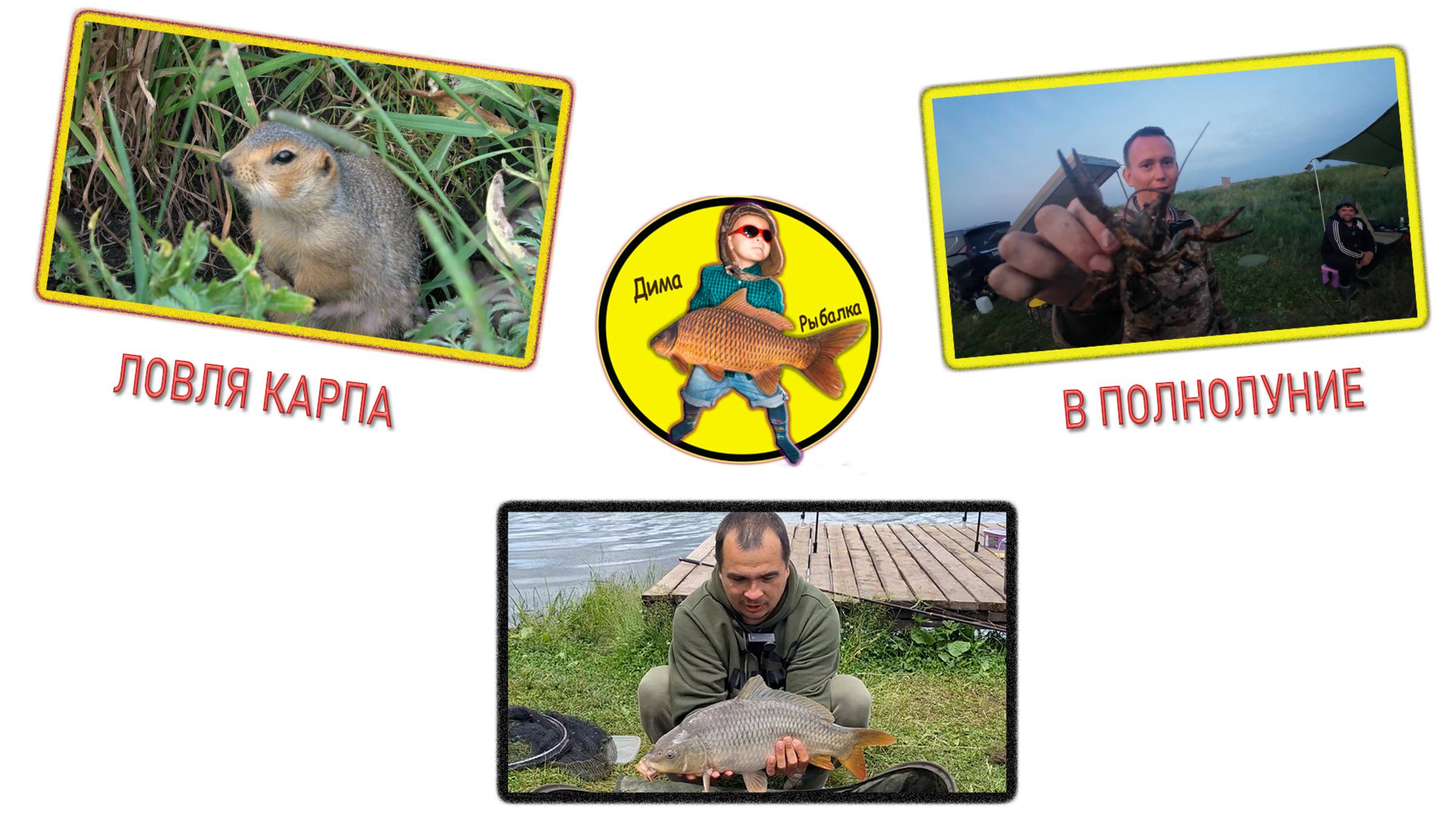Ловля карпа в полнолуние смотреть онлайн