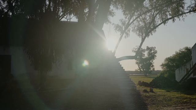 Кейптаун, ЮАР. Почему это лучший город на Земле? смотреть онлайн