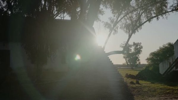 Кейптаун, ЮАР. Почему это лучший город на Земле?