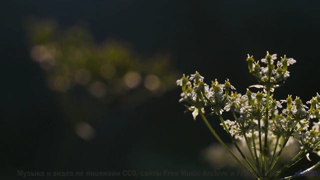 Прогуляйтесь под эту мелодию - и день станет незабываемым! - Bed4 -- Ketsa -- Bedding