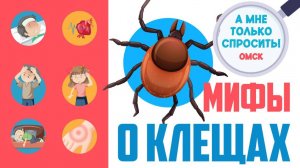 Клещи прыгают с деревьев и выбирают жертву по группе крови — мифы и правда. «А мне только спросить»
