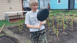 Ох тяжёл крестьянский труд! Сажаем лук. Пропололи огурцы,перцы и помидоры. Жарим яичницу на сале!