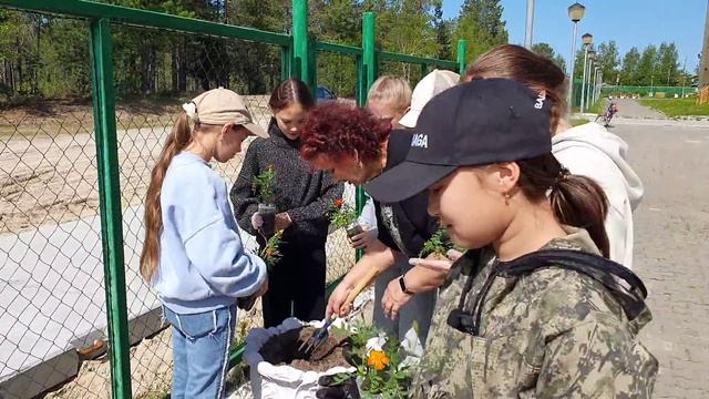 Цветущие традиции