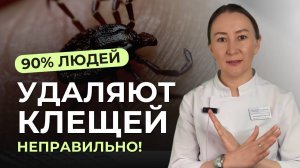 Что делать, если укусил клещ: пошаговая инструкция