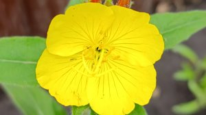 Выходной день☀ Ливень💦💦💦